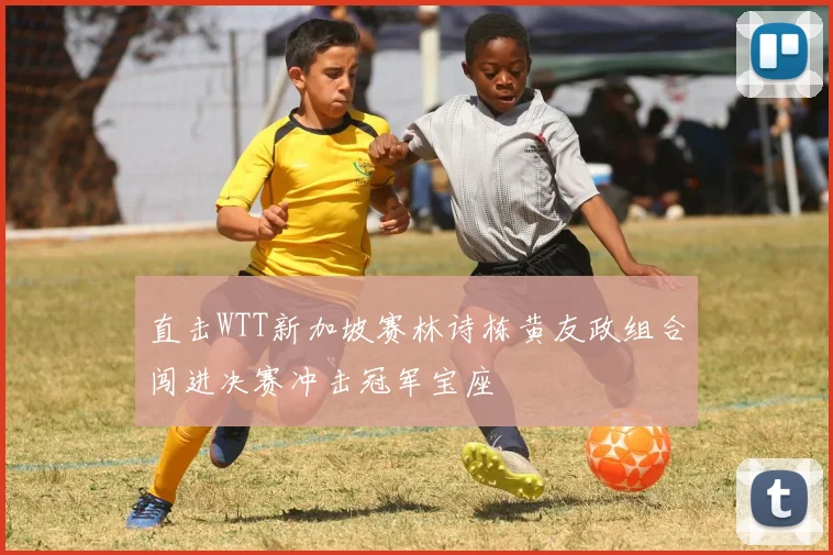 直击WTT新加坡赛林诗栋黄友政组合闯进决赛冲击冠军宝座