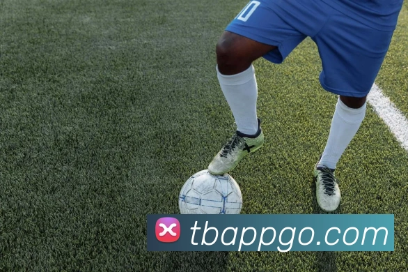 天博体育APP 封面图